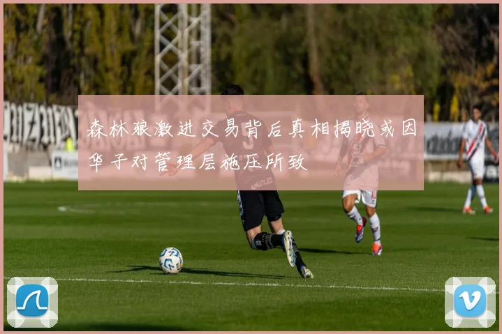 森林狼激进交易背后真相揭晓或因华子对管理层施压所致
